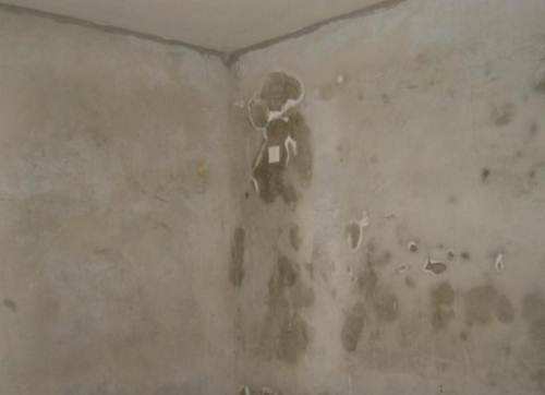 什么是墻面反堿？家中墻體返堿掉皮怎么處理？