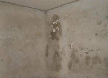 1595666084213623.jpg timg-(3).jpg